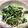 クックPSXBNX☆'s cooksnap of when they made シンプルに♪水菜と塩昆布のおひたし.