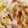 はなのかくめいじ's cooksnap of when they made トースターで鶏ささみ柚子胡椒マヨ焼き.