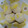 ミロ9607's cooksnap of when they made シロさんの里いもの白煮.