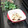 からあげパーティー's cooksnap of when they made レンジで簡単エリンギのナムル◆作り置き.
