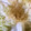 ゆっきい９'s cooksnap of when they made キャベツの芯のとり方.