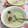 赤い電話's cooksnap of when they made 簡単きのこのミルクスープ.