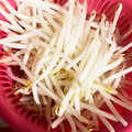 コハダちゃん's cooksnap of when they made シャキシャキになるもやしの茹で方♡.