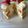 やれゆは's cooksnap of when they made 冷蔵庫でもふわふわスポンジケーキ.