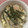 猫のミイヤ's cooksnap of when they made 豚バラとごぼうの柳川風.