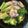 お願いひつじ's cooksnap of when they made 冷凍牡蠣のアヒージョソテー✿おつまみに.