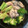 お願いひつじ's cooksnap of when they made 冷凍牡蠣のアヒージョソテー✿おつまみに.