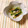 yesmama's cooksnap of when they made 豚バラ肉と青梗菜から出る水分の簡単煮物♪.