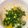 量子♬'s cooksnap of when they made ブレンダー不要！れんこんの和風ポタージュ.