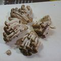 スタイリッシュママ's cooksnap of when they made 簡単・無駄の少ないしめじの石づきの取り方.