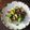 栗丸うさぎ's cooksnap of when they made 芽キャベツとハムのバターソテー.