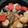 ライチ好き好き's cooksnap of when they made おせちの定番！基本のお煮しめ.