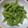 もりのりころ's cooksnap of when they made レンジで簡単❗枝豆の茹で方.