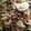 Ｍぱん's cooksnap of when they made ひき肉ともやしのあんかけ焼きそば.
