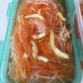 lala5's cooksnap of when they made らっきょう酢（寿司酢）で簡単な紅白なます.