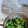 大阪のちゃーちゃん's cooksnap of when they made 大根の葉としらすのゴマ油炒め.