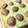 ayappi18's cooksnap of when they made 甘み増す♪熟成栗の作り方（保存方法）.