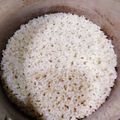 maruchan77's cooksnap of when they made 圧力鍋でふっくらもちもちの玄米ご飯.