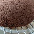 NEKOほっぺ's cooksnap of when they made 超~糖質オフ♡レンジで濃厚ココアケーキ.
