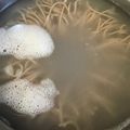 葉月優希's cooksnap of when they made そばのゆで方.