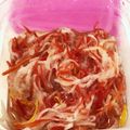 ホウキボウシ's cooksnap of when they made 紅白なます.
