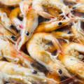 ♡マッキークッキング's cooksnap of when they made 【殻ごと食べれる・芝海老の旨煮】.
