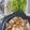 きいKIY's cooksnap of when they made せり鍋.