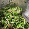 エイビーズ's cooksnap of when they made 簡単美味しい！水菜とツナのサラダ.