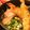 食べ過ぎ野郎's cooksnap of when they made ☆母直伝☆年越しそば→翌日はお雑煮に.