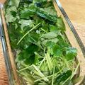 かつぞう☆'s cooksnap of when they made みつばのシャキシャキ保存方法.