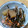 ミッツー♪'s cooksnap of when they made 簡単 我が家の松前漬け.