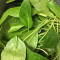 葉月優希's cooksnap of when they made 簡単☆野菜の水切り方法☆裏技.