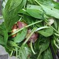 葉月優希's cooksnap of when they made サラダほうれん草とベーコンのサラダ.