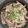 シビリキン's cooksnap of when they made 塩麹豚丼.