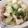 ベティ３'s cooksnap of when they made 白菜とくずし豆腐のあんかけ丼.