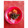 クック4649★'s cooksnap of when they made 簡単！？可愛い大根の飾り切り 菊の花.