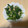 16ｻｲ👸's cooksnap of when they made ほうれん草とツナのおひたし.
