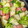 ひぃたろぉ～♪'s cooksnap of when they made <宅飲み>卵焼き器でアヒージョ.