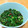 ちーまぐ's cooksnap of when they made 超簡単！超万能！夏バテに激うまニラだれ。.