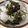 papikun's cooksnap of when they made 毎日のしろごはん●塩昆布＆海苔ごはん.