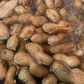 作るの苦手なの's cooksnap of when they made プレ農家めし◆おおまさり落花生の茹で方.