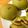 クック2CMIQR☆'s cooksnap of when they made 和スイーツ風栗の甘露煮と抹茶のあんぱん.