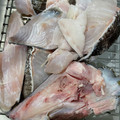 わたるんママ's cooksnap of when they made 鍋料理に使う【クエ】魚の下処理.