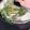 クックY9SJB2☆'s cooksnap of when they made シメまで美味しい✨もつ鍋✨.
