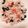 クックP81ONM☆'s cooksnap of when they made クロダマル黒豆梅ごはん.