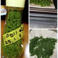 ひっこ's cooksnap of when they made パリパリ♪自家製の乾燥パセリ&保存方法.