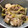 Rstat's cooksnap of when they made 簡単すぐ出来る！豚肉と白菜の中華炒め.