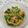 笑福ねこ's cooksnap of when they made 中国野菜カイランと豚肉のオイスター炒め.