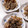 ♡ここはな♡'s cooksnap of when they made 簡単！焼き肉のタレでれんこんのきんぴら.