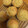 なごり's cooksnap of when they made 御節の栗きんとんの余りで簡単マフィン.
